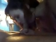Amazing Webcam video with Blowjob scenes